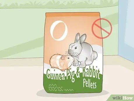 Выберите корм для морских свинок Шаг 4