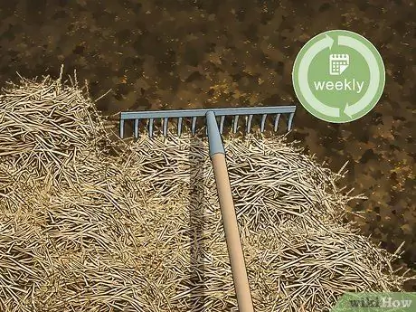 Уход за азиатским перепелом Шаг 11