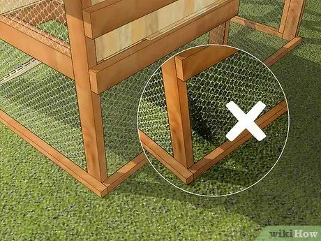 Уход за азиатским перепелом Шаг 2