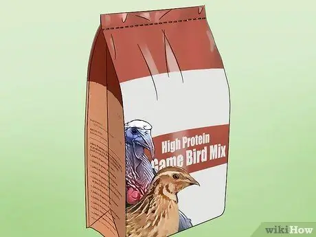 Уход за азиатским перепелом Шаг 6