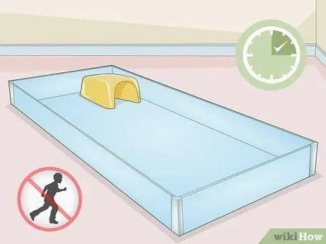 Научите свою морскую свинку приходить по вызову Шаг 13