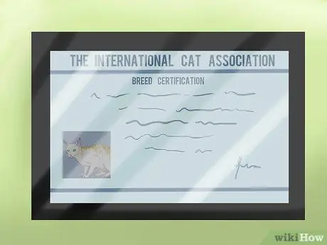 Определите корниш-рекса. Шаг 12