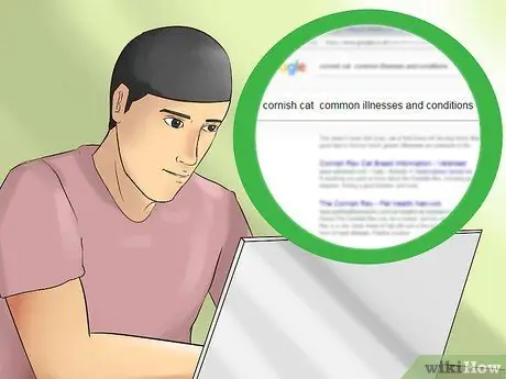 Определите корниш-рекса. Шаг 14