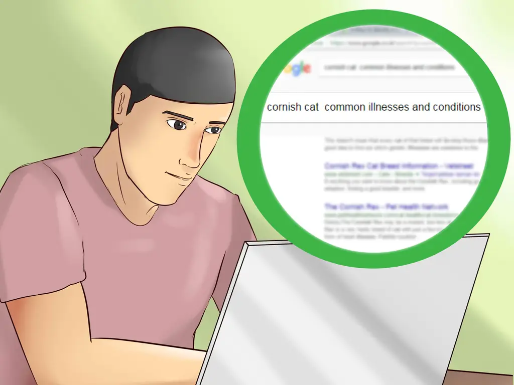 4 способа идентифицировать корниш-рекса