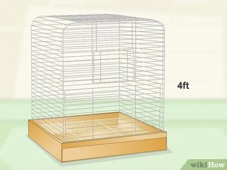 Выберите клетку для какаду Шаг 2