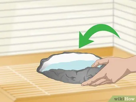 Выберите клетку для какаду Шаг 7