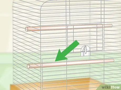 Выберите клетку для какаду Шаг 8