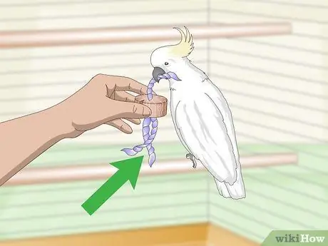 Выберите клетку для какаду Шаг 9