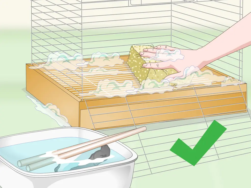 Как выбрать клетку для какаду (с иллюстрациями)