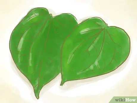 Контролировать астму без лекарств Шаг 35