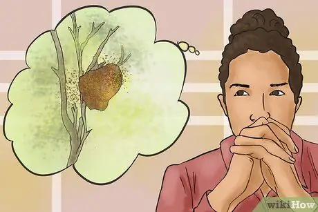 Выберите сырой мед, шаг 1