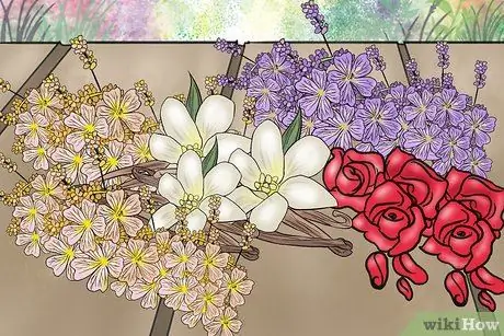 Выберите «Сырой мед» Шаг 5