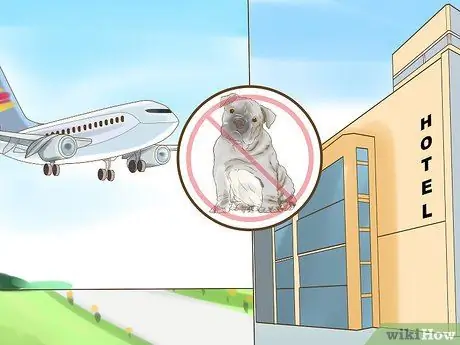 Проверка запретов на породу собак, шаг 6