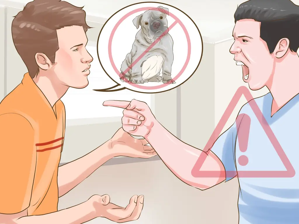 3 способа проверить запрет на породу собак