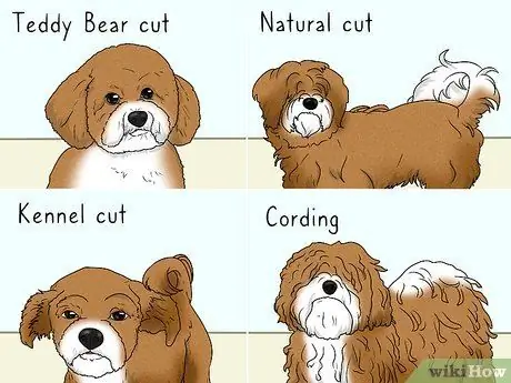 Определите гаванский шаг 9