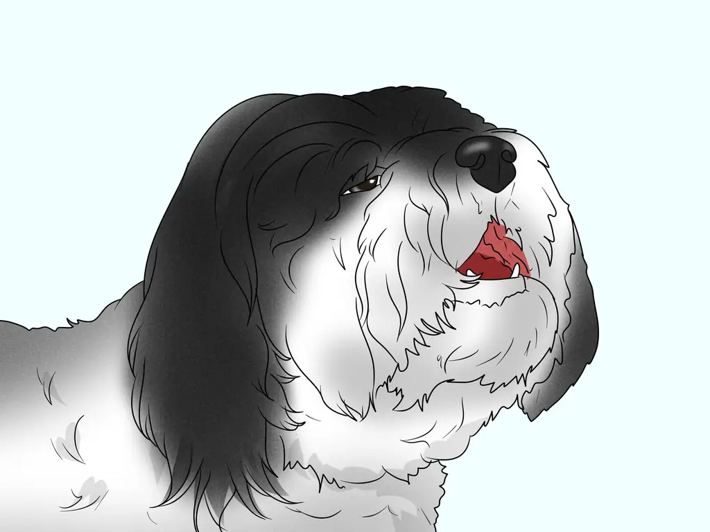 3 способа идентифицировать гаванца