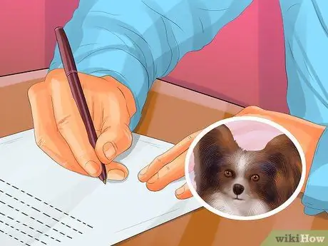 Определение папийона Шаг 6