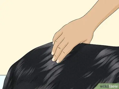 Определите Beauceron Шаг 9