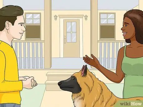 Идентификация бельгийской собаки тервюрен Шаг 12