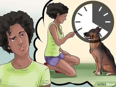 Дрессировка немецкой овчарки Шаг 14