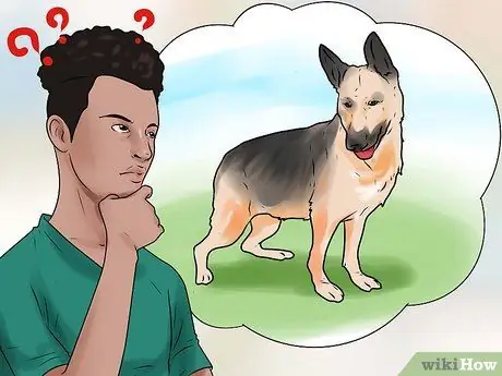 Дрессировка немецкой овчарки Шаг 16