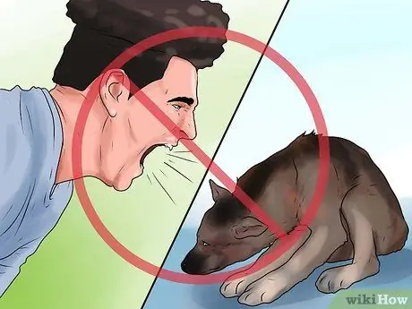 Дрессировка немецкой овчарки Шаг 9