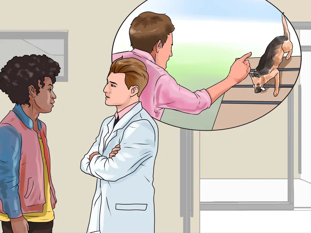 3 способа дрессировки немецкой овчарки