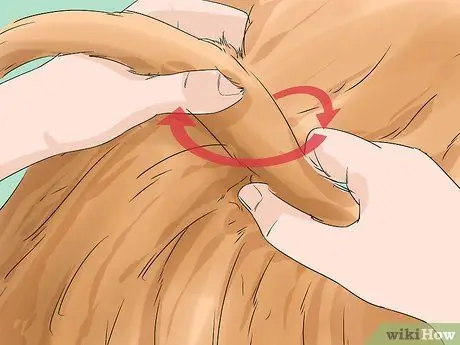 Определить Пули Шаг 11