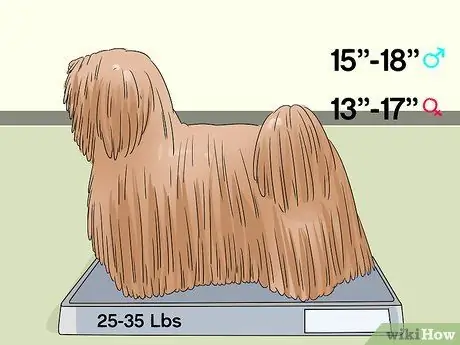 Определить Пули Шаг 2