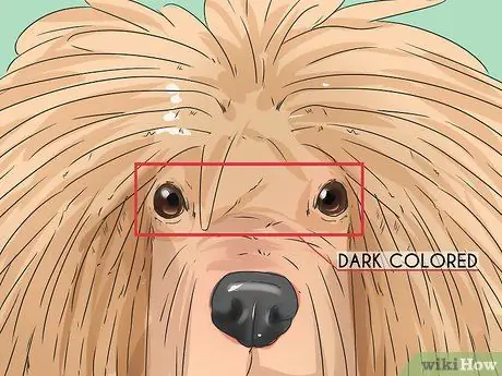 Определить Пули Шаг 3