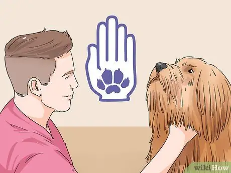 Определить Пули Шаг 6