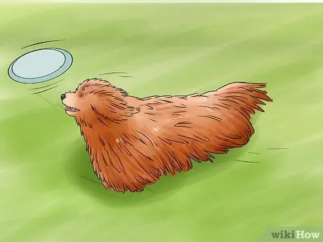 Определить Пули Шаг 7