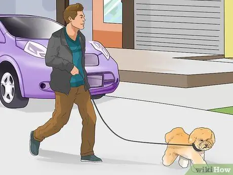 Узнайте, подходит ли вам порода бишон-фризе Шаг 2