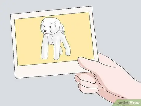 Ухаживаем за бишон-фризе Шаг 25