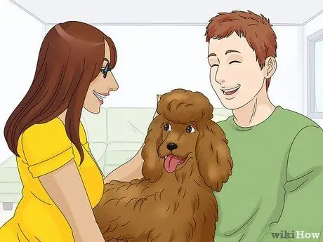 Определить пуделя Шаг 13