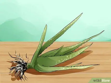 Избавьтесь от прыщей за одну неделю, шаг 10