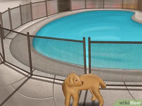 Сделайте свой дом безопасным для собаки Шаг 11