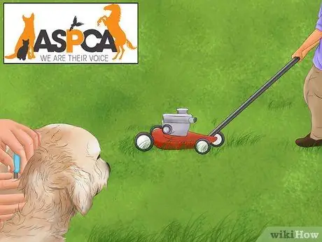 Сделайте свой дом безопасным для собаки Шаг 9