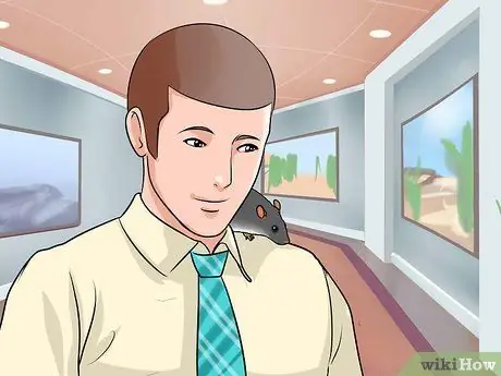 Приучить к плечу домашнюю крысу Шаг 7