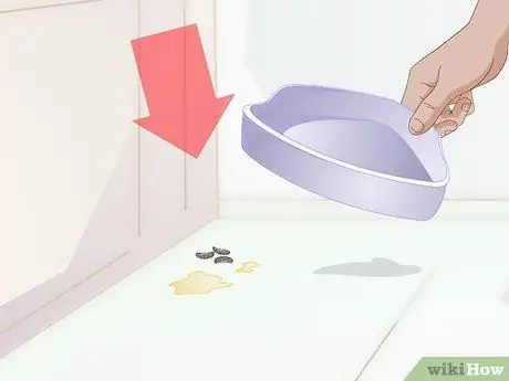 Ящик для мусора приручите крысу, шаг 2