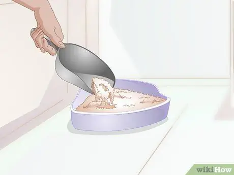 Ящик для мусора приручите крысу, шаг 3