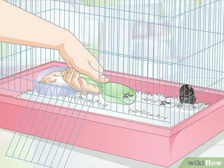 Ящик для мусора приручите крысу, шаг 7