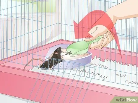 Ящик для мусора приручите крысу Шаг 8