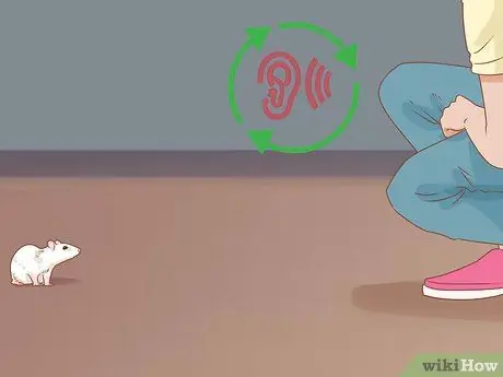 Научите крысу ее имени Шаг 7