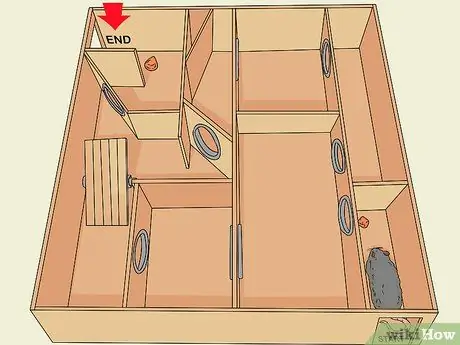 Приучите крысу бегать по лабиринту или полосе препятствий Шаг 7