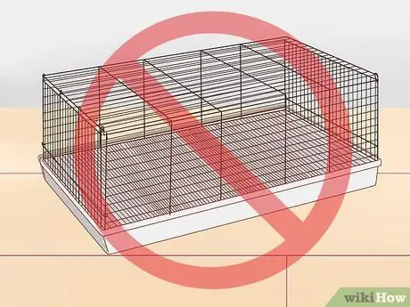 Найдите и лечите шмеля у крыс Шаг 11