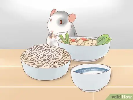 Найдите и вылечите шмеля у крыс Шаг 12