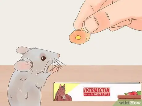 Лечить внешних паразитов на домашней крысе Шаг 1