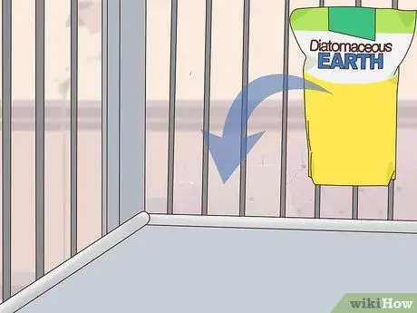 Лечить внешних паразитов на домашней крысе Шаг 6