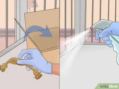 Лечить внешних паразитов на домашней крысе Шаг 7